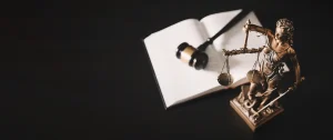 Law Services
